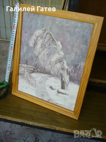 Стари Маслени Картини, снимка 14 - Картини - 47920598