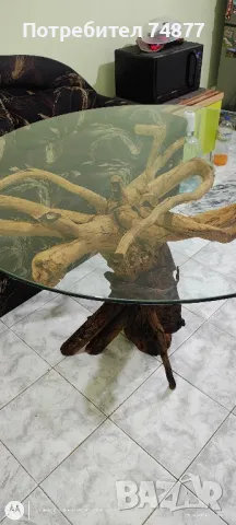 Трапезна маса от корен , снимка 1