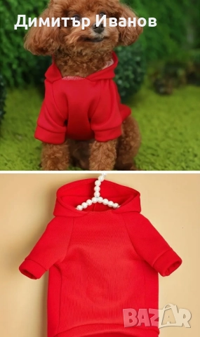 Модерни дрехи за кучета: Суичъри (Худита) с надписи, Пуловер (S, M), снимка 7 - За кучета - 52574572