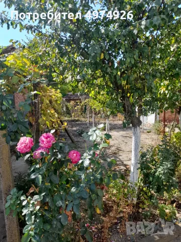 Продавам къща в село Бръшляница , снимка 16 - Къщи - 56443404