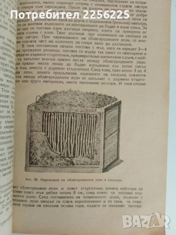 Ръководство по лозарство 1948г, снимка 5 - Специализирана литература - 51112806