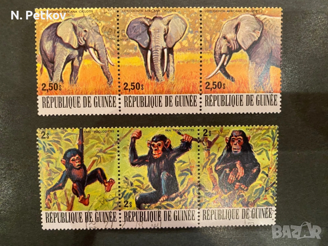 Гвинея, Фауна - маймуни и слонове