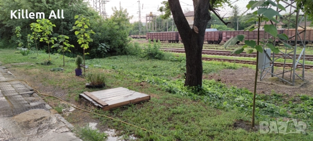 Косене на тревни площи и храсти, снимка 6 - Други услуги - 52864157