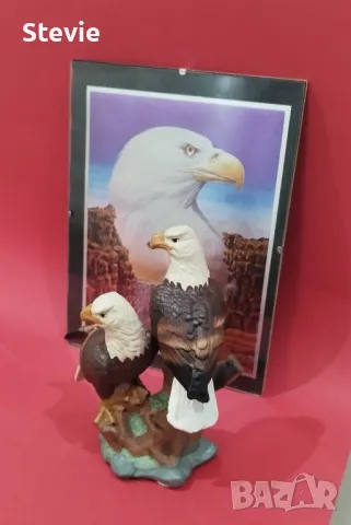 Фигура и картина на Белоглави орли