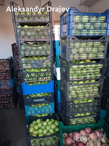Круши, Ябълки,Мед и Сокове , снимка 15 - Домашни продукти - 56258345