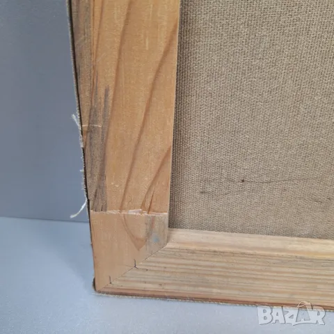 Портрет на Иван Вазов[1850-1921]-ръчно рисуван на платно от Люб.Петров 2008г., снимка 7 - Картини - 47775449