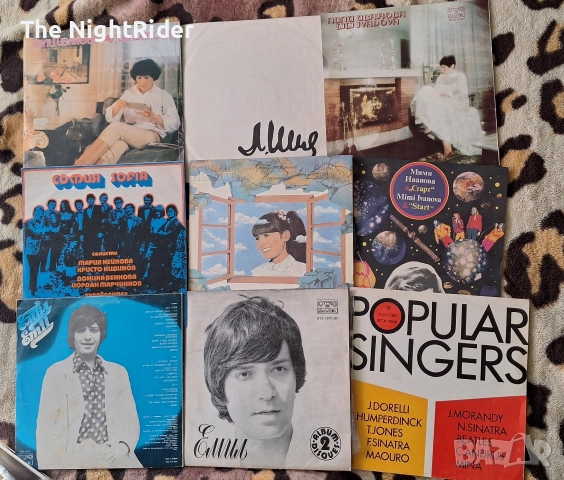 Грамофонни плочи , снимка 3 - Грамофонни плочи - 52812194