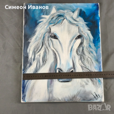 Интересна картина на кон подписана #6363 35 х 46 см, снимка 6 - Други ценни предмети - 53916462