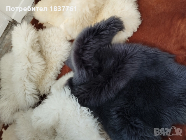 Естествени кожи , снимка 3 - Декорация за дома - 51897338