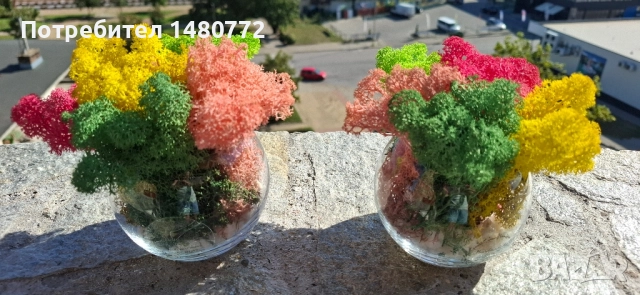 Стъклени кашпи със скандинавски мъх , снимка 16 - Декорация за дома - 48169993