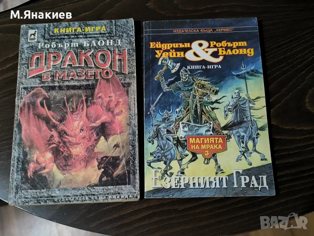 Две фентъзи книги-игри , снимка 4 - Детски книжки - 55862446