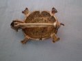  Антикварна брошка костенурка сребърна проба 800 И филигран , снимка 7
