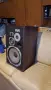 Pioneer hpm-100, снимка 3