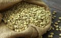 Зелено и прясно изпечено кафе на зърна сорт арабика от кафе пекарна 2230, снимка 1