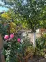 Продавам къща в село Бръшляница , снимка 16