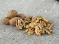Пресни градински орехи - сорт Извор 10, снимка 1