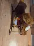 Люлеещо конче със звуци, снимка 6