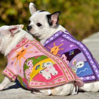  Ръчно бродирани перуански кучешки дрешки различни цветове и размери, снимка 12 - За кучета - 42804804