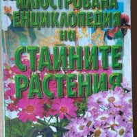 Илюстрована енциклопедия на стайните растения  Жечка Георгиева, снимка 1 - Специализирана литература - 36897049