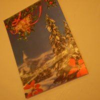 стара коледна новогодишна зимна картичка  стерио ЯПОНИЯ , снимка 8 - Колекции - 38865069