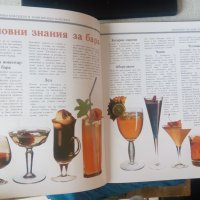 Фантастични коктейли и тонизиращи напитки, снимка 9 - Специализирана литература - 37757906