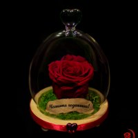 Подарък за рожден ден / Естествена Вечна Роза в Стъкленица / Уникален Подарък за Жена, снимка 7 - Други - 28122874