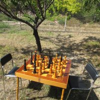 градински шах, снимка 10 - Градински мебели, декорация  - 44241445