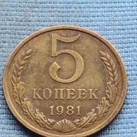 Стара монета 5 копейки 1981г. СССР рядка за КОЛЕКЦИОНЕРИ 40409, снимка 1 - Нумизматика и бонистика - 42729815
