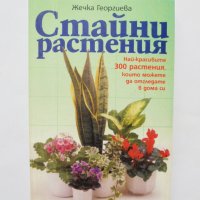 Книга Стайни растения - Жечка Георгиева 1998 г., снимка 1 - Други - 31620147