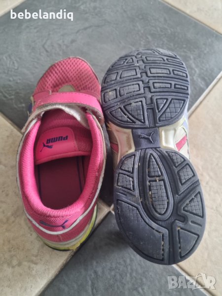 Puma, номер 33, снимка 1