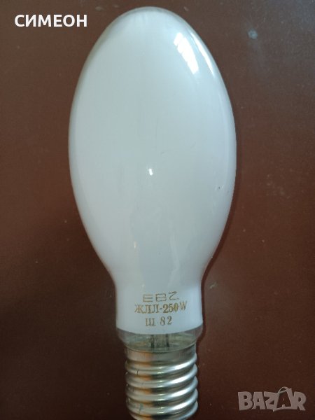 ЕЛ.КРУШКА 250W, снимка 1