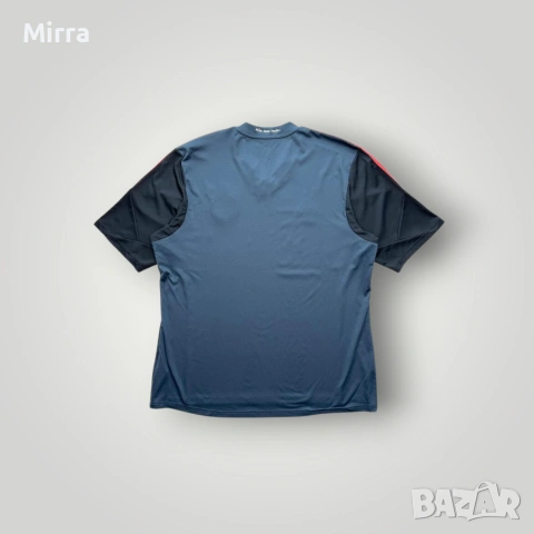 Bayern Munchen 2013/2014 Third Shirt Тениска, снимка 2 - Тениски - 52044702