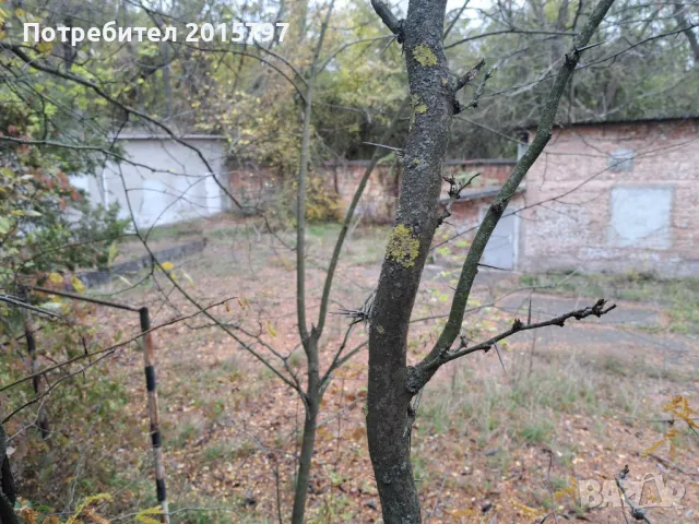 Склад под наем гр. Велико Търново, снимка 2 - Складове - 49868075