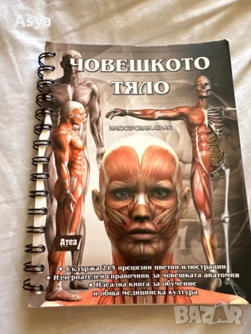 Учебник по анатомия  човешко тяло, снимка 3 - Учебници, учебни тетрадки - 51525662
