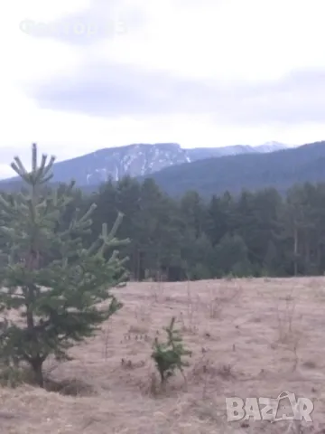 РАЗКОШЕН ПАНОРАМЕН РАВЕН ПАРЦЕЛ в Мала църква , снимка 2 - Парцели - 49414249