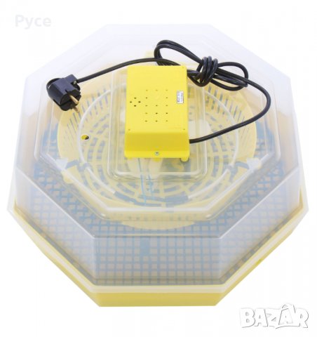  Клео 5 инкубатори на ниски цени директно от завода