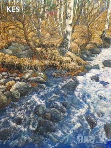 Витошка река, снимка 2 - Картини - 53076491