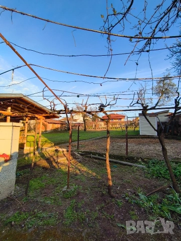 Почистване на терени / Косене на тревни площи, снимка 2 - Градински цветя и растения - 50153121