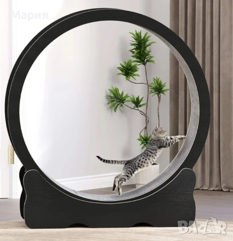НОВО! КОТЕШКО КОЛЕЛО за бягане, игра и тренировка, снимка 2 - За котки - 52080948