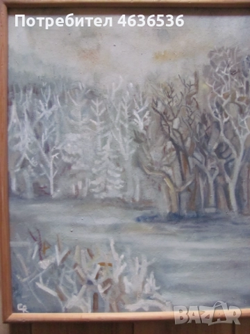 Красива Картина масло, платно ,художник Силвия Радева,подпис, снимка 3 - Картини - 52573784