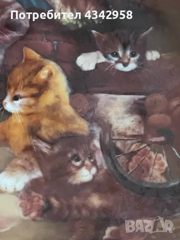 🐱 Колекционерска порцеланова чиния Seltmann Weiden – 1993 г., снимка 5 - Други ценни предмети - 55940463