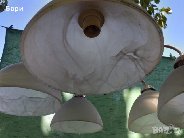 Немски полилеи, снимка 7 - Полилеи - 34331610