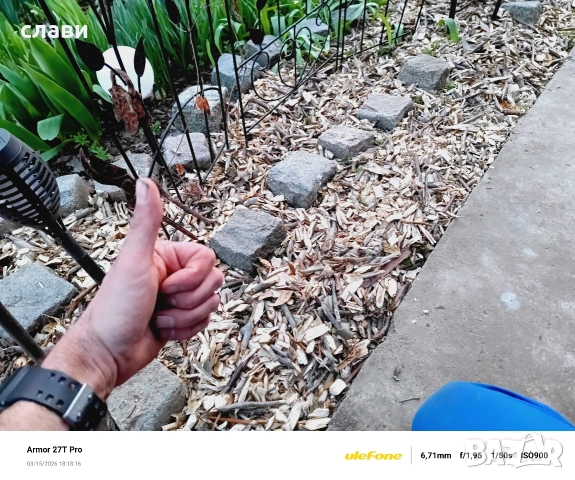 Мулч / Дървесен чипс / 100% Натурален , снимка 10 - Градински цветя и растения - 53591340