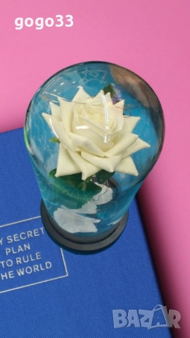 Бяла роза под стъклен купол , снимка 3 - Декорация за дома - 51813645