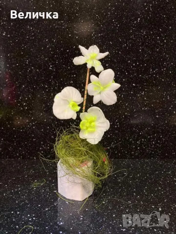 сапунени Орхидеи. , снимка 3 - Други - 48827188