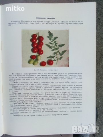 Апробация на зеленчуковите култури - 1966 г., атлас, снимка 9 - Енциклопедии, справочници - 30732567