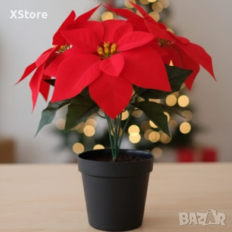 Вечна празнична Коледна звезда – реалистична украса, снимка 3 - Декорация за дома - 52518259