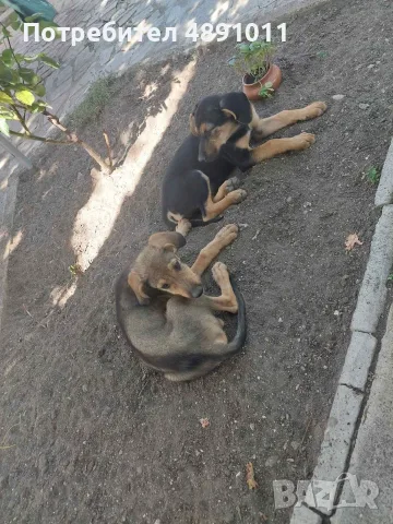 Град Първомай ..