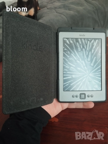 Kindle и Tolino 