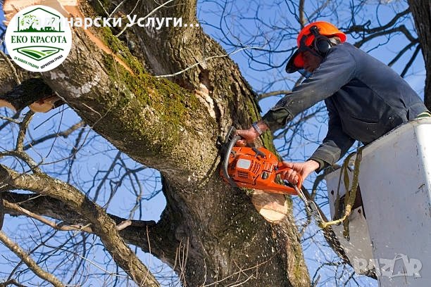 ПРЕДЛАГАМЕ Градинарски Услуги, снимка 4 - Други услуги - 44215395